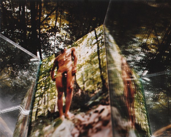 "Perspective Fracture 1"