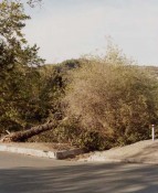 Thumbnail image of "Performer 9"